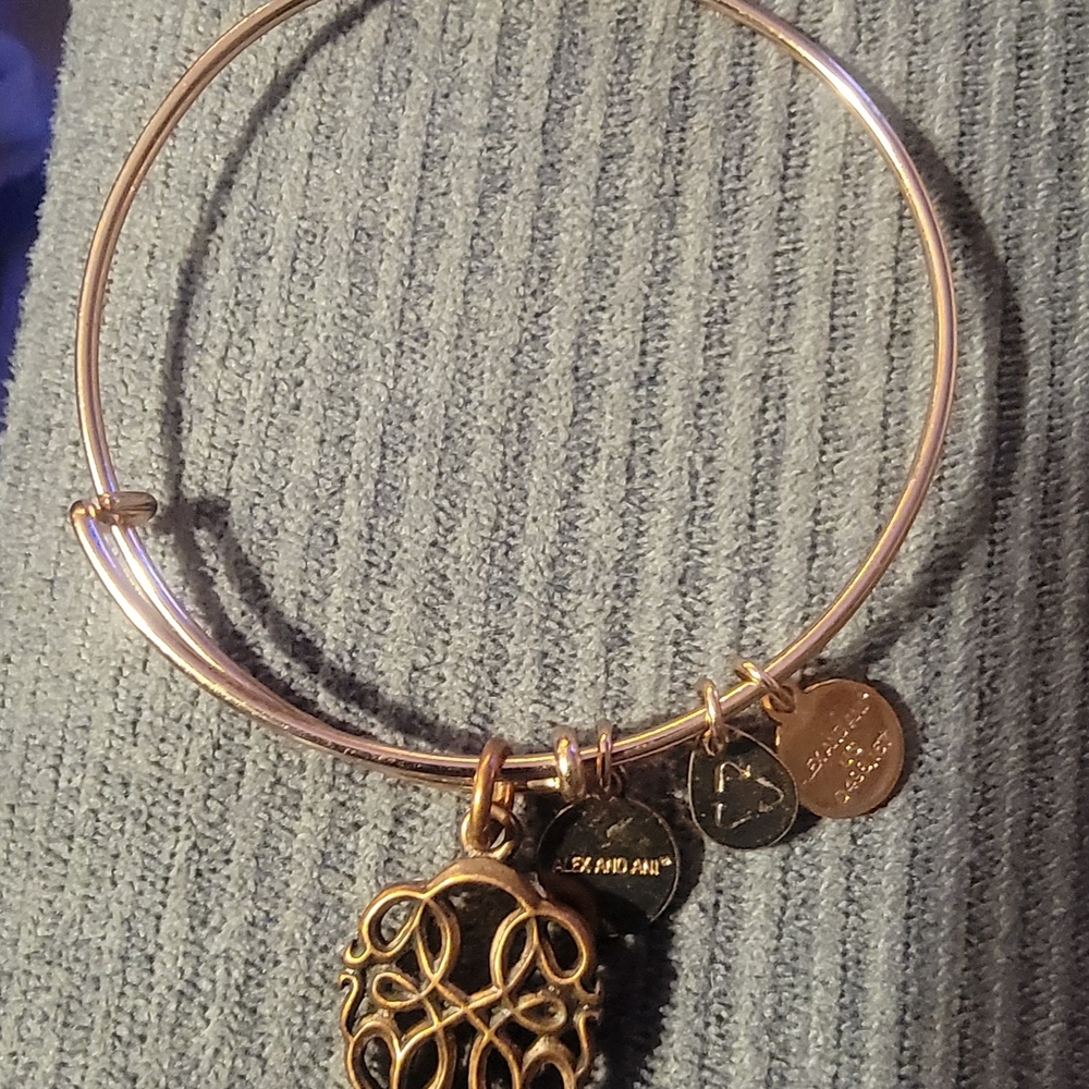 Alex and Ani Gold and Black Charm Bracelet